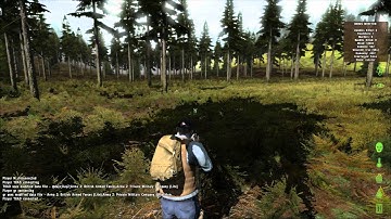 DAYZ - Checking out the debug forest bug