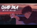 Chad Dila [ Slowed + reverb ] Punjabi Sad Lofi Music