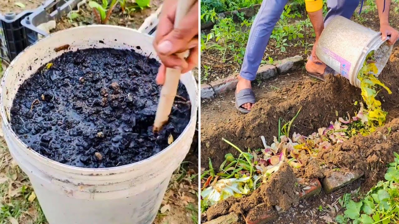 The ZERO Cost Methods to ENRICH Soil for 1000 Years! No chemicals Needed!