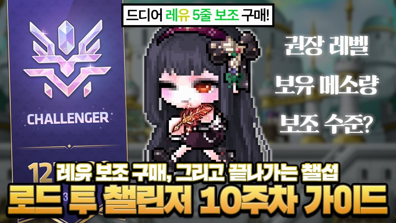 드디어 레유 5줄 보조 구매 완료! 로드 투 챌린저 10주차 가이드