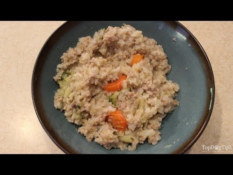 homemade-dog-food-for-heart-disease-recipe-(very-easy-to-prepare)