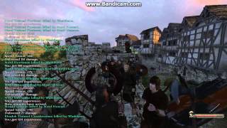 Mount and Blade: Warband - Washihane, lvl 35 save game