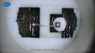 EOC MICROSCOPE