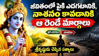 జీవితంలో పైకి ఎదగటానికి, నాశనం కావడానికి ఆ రెండే మార్గాలు, శ్రీకృష్ణుడు చెప్పిన సత్యాలు