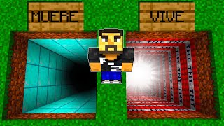 ¡NO ELIJAS EL AGUJERO EQUIVOCADO EN MINECRAFT!