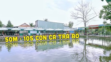 Hồ Câu Cá Dịch Vụ Hội Quán Bạn Câu Vĩnh Lộc Bình Chánh | Chung Nguyễn Fishing