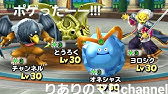 星ドラ 重要案件 焦んなやスタンプは絶対ゲットしよう 星のドラゴンクエスト Youtube