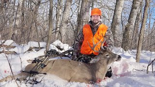 Late Rut Bow Hunt Success!! by DIY Sportsman 20,415 views 1 year ago 9 minutes, 48 seconds