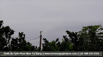 Súng tưới phun mưa cánh đập đài loan 34mm