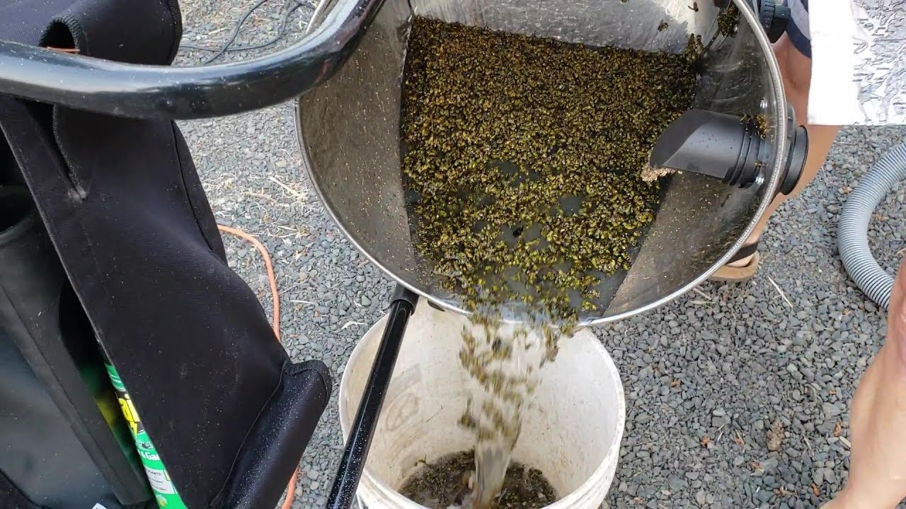 My Yellowjacket Vacuum YouTube