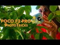 Photo tricks with the new POCO F2 Pro!! AWSOME!!