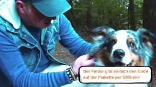 identDOG schützt Deinen Hund und Deine Daten VDH by Verband für das Deutsche Hundewesen - VDH e.V. 1,440 views 8 years ago 2 minutes, 19 seconds