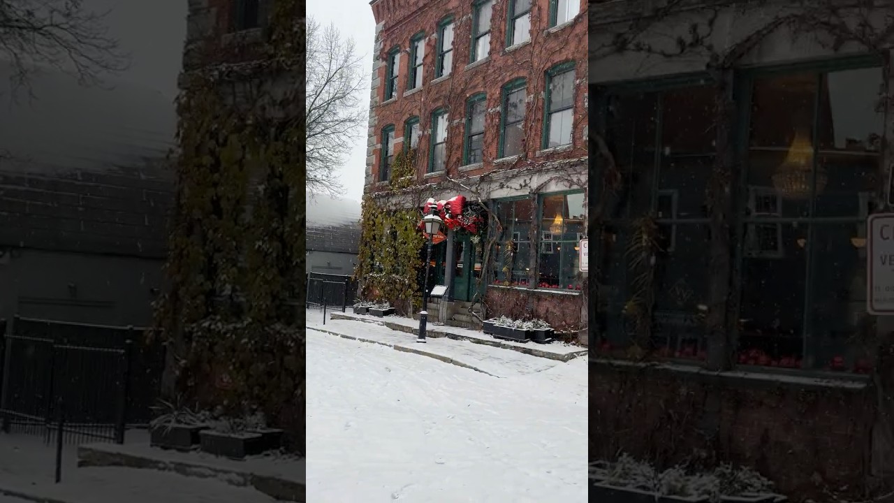 Portland ME winter wonderland. 🌨️❄️ 