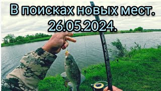 Рыбалка на Гнилой балке. 26.05.24.