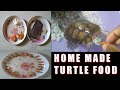 home made turtle food, turtle food, turtle ,Various information's & Entertainment studio, VI+ES,