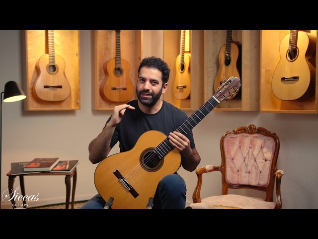 Daryl Perry 2011 No. 166 Classical Guitar Review
