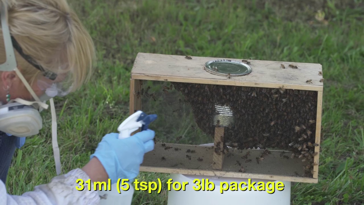 9 using oxalic acid to control varroa mites 111116 varroa mites control