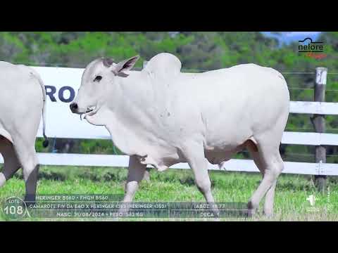 LOTE 108
