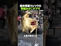 空中浮遊マジックの骨組みがこれです