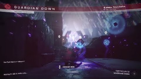 Destiny 2 VOG Relic Bug