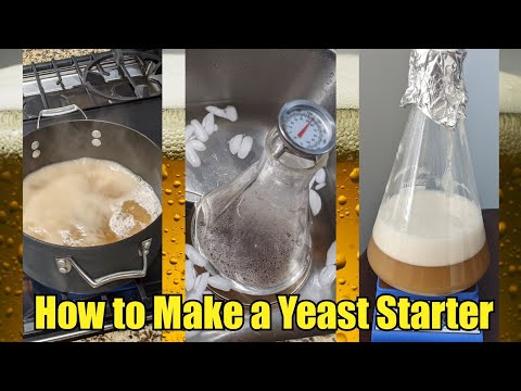 How to Make a Yeast Starter - Step by Step Instructions