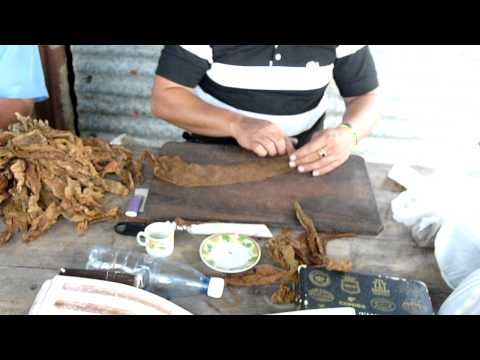 Fabrication d&rsquo;un cigare à Pinar del Rio (Cuba)