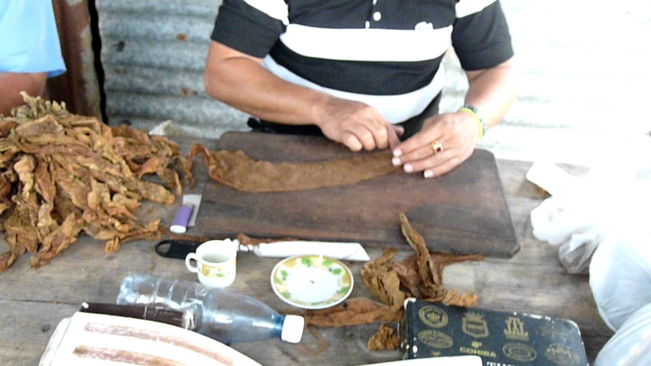 Fabrication d'un cigare à Pinar del Rio (Cuba)