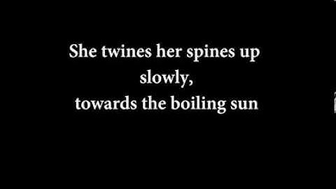 The Handsome Family - Far From Any Road (Lyrics)