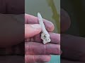 Early Archaic Drill And A Bunch Of Brokes Missouri Ozarks 2025
