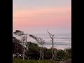 Sunset Waves at Gleneden Beach Ore #shorts #short #shortvideo #shortsfeed #shortsvideo
