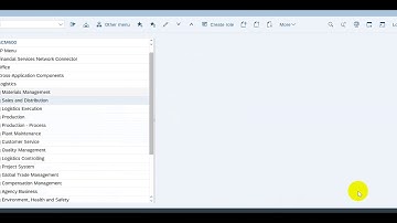 SCM600 Exercise 3.6 - Post Incoming Payment (SAP SD Tutorial)