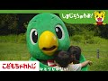 ハッピー! とりっぴい!