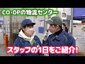 小山市で軽作業スタッフ募集！　1日の流れをご紹介！　小山要冷集品センター