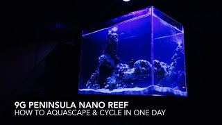 9G Peninsula Nano Reef | How to Aquascape & Cycle in One Day