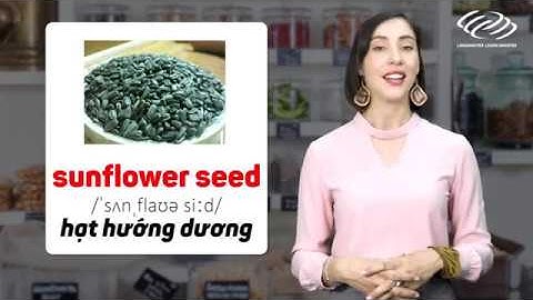 Từ vựng tiếng Anh cơ bản - CHỦ ĐỀ CÁC LOẠI HẠT [Tiếng Anh giao tiếp Langmaster]