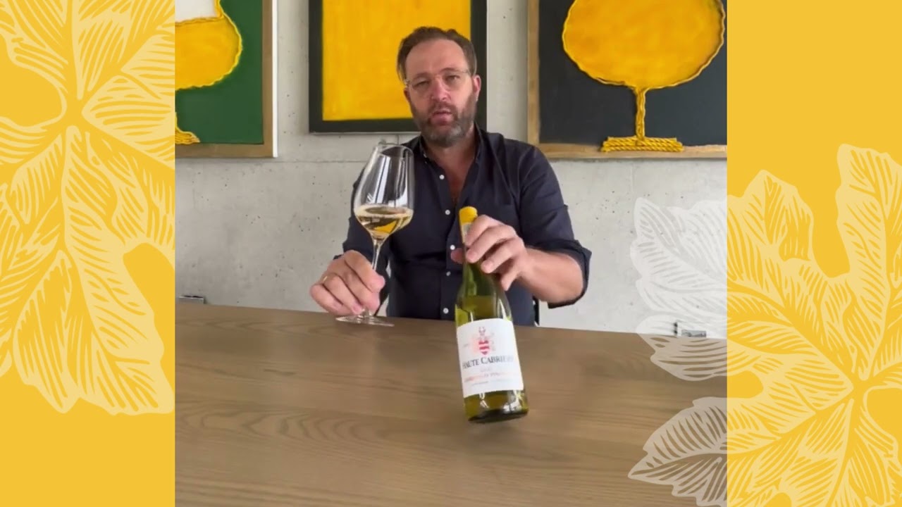 Shades of Chardonnay - Chardonnay Pinot Noir