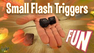 Worlds Smallest Flash Triggers for Photography travel fun off camera flash