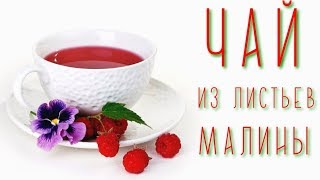Чай из листьев малины. Ферментированный, пошагово, своими руками Чай из листьев малины. Ферментированный, пошагово, своими руками