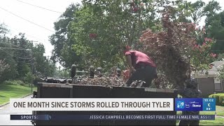 Tyler residents, officials describe ongoing issue of tree debris cleanup