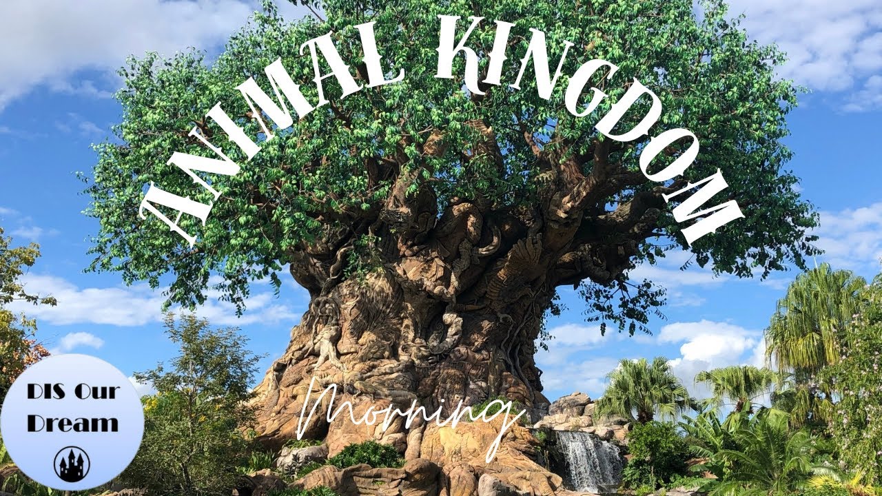🔴LIVE: Disney’s Animal Kingdom | Disney World Livestream | 2/15/2026