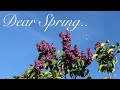 spring whimsy🌷