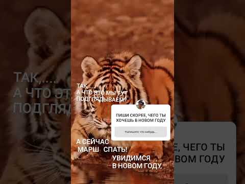 2022 й- ГОД