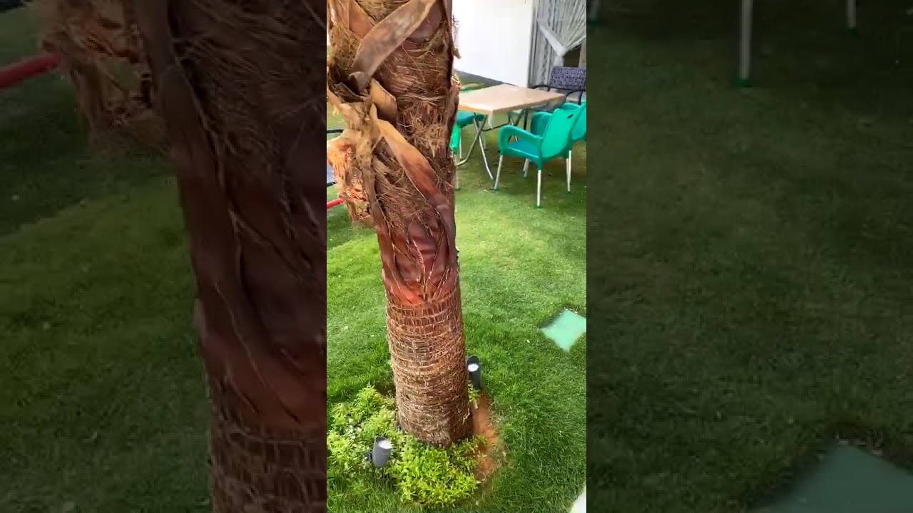 الري الذاتي للحدائق | مساعد القفاري