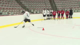 14   Scoring   Corner Puck Protect