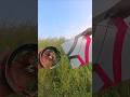 turu turu #kitefighter #pipacombate #layangan #pipas #patang