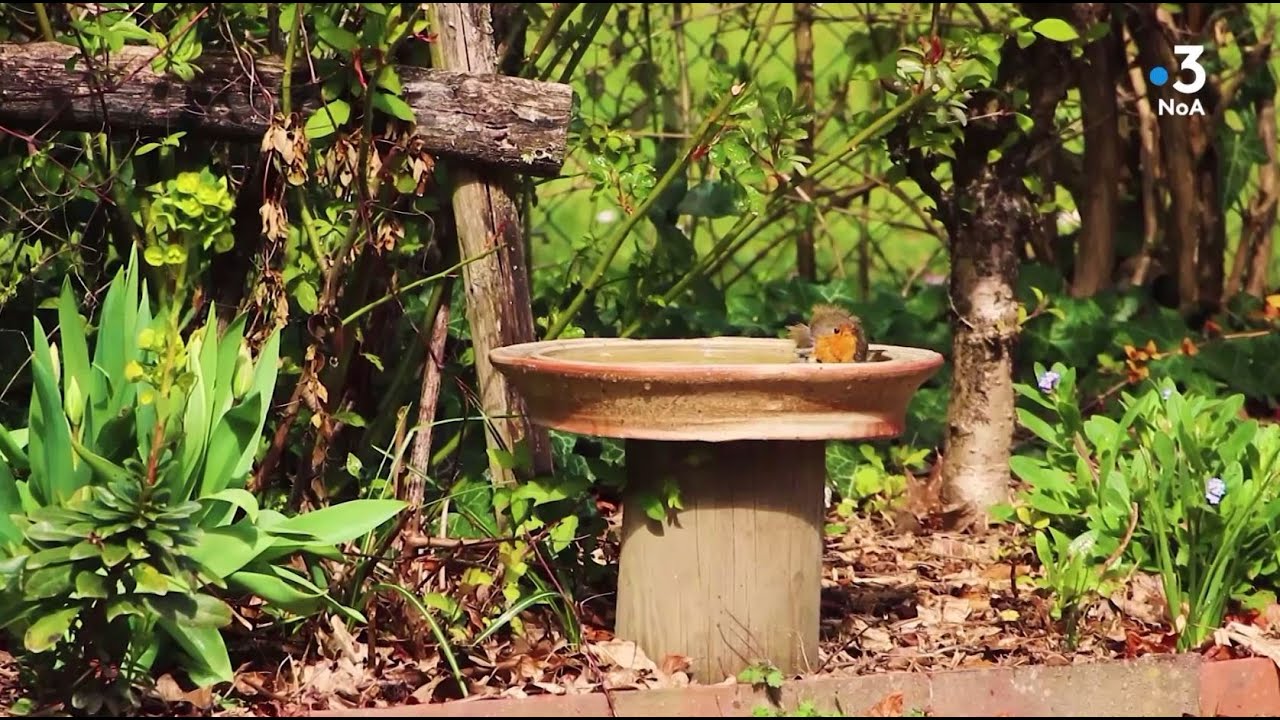 Bienvenue au jardin