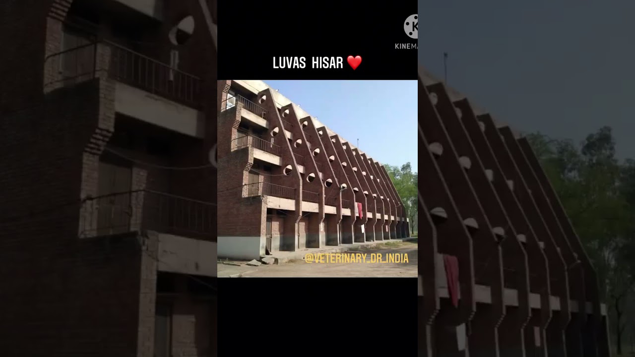 LUVAS Hisar
Veterinary College Hisar, Haryana