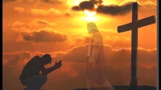 5 Good Reasons to Doubt Darwin - Pastor David Asscherick- SecondComing.org Net Worth