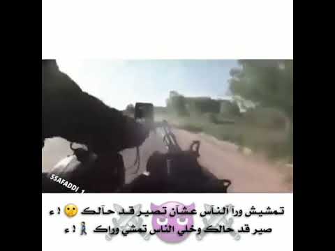 مهرجان رايحين النار الدخلاوية حالة واتس ا 48