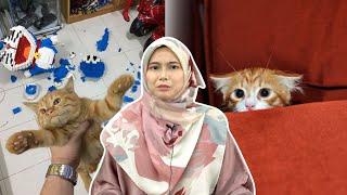 Macam Mana Nak Deal dengan Kucing Nakal?